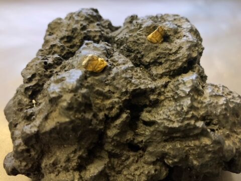 Goldnuggets